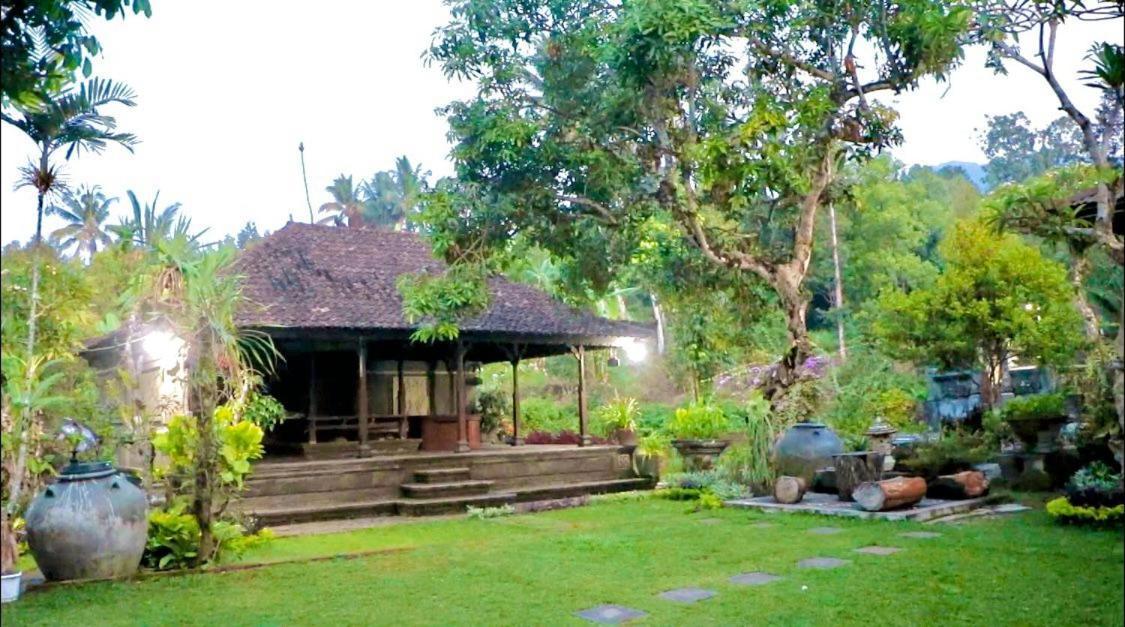 Mesari Cottage Guest House Pabean Buleleng Esterno foto