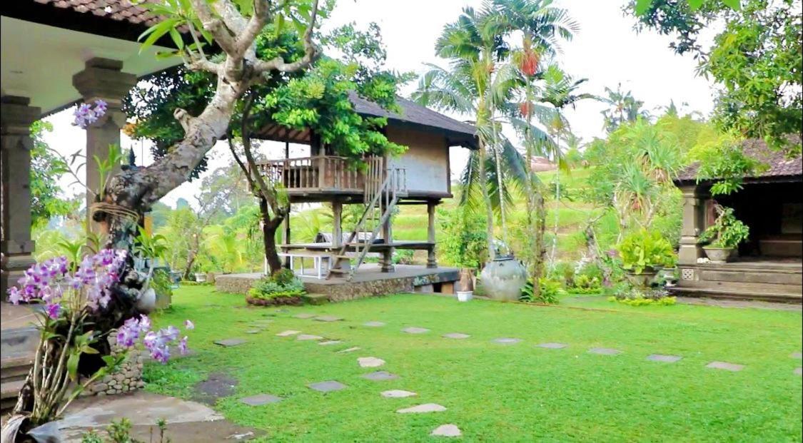 Mesari Cottage Guest House Pabean Buleleng Esterno foto