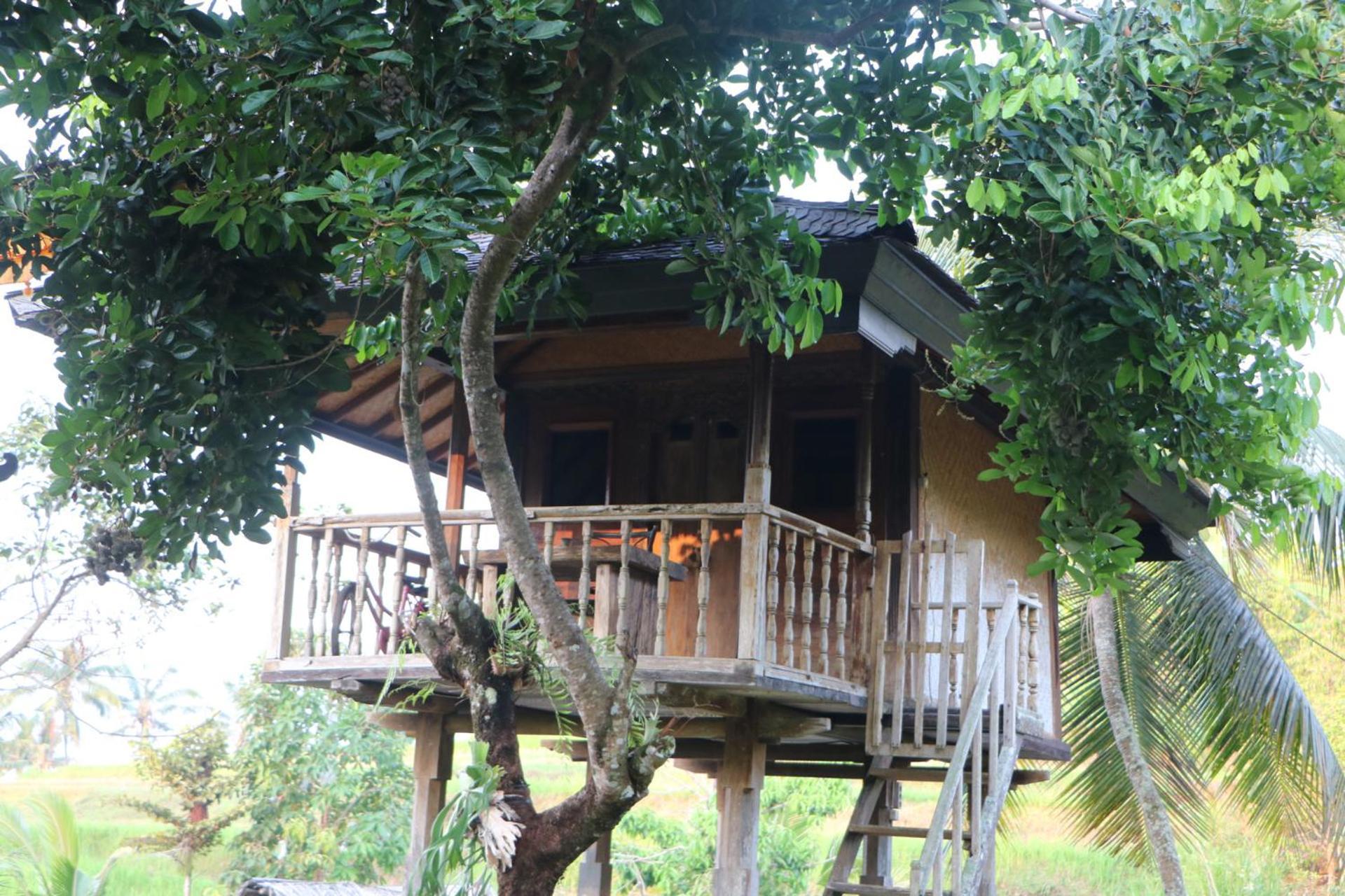 Mesari Cottage Guest House Pabean Buleleng Esterno foto