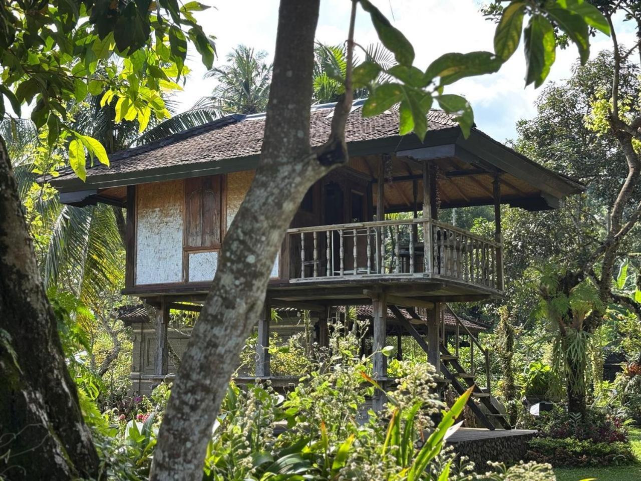 Mesari Cottage Guest House Pabean Buleleng Esterno foto